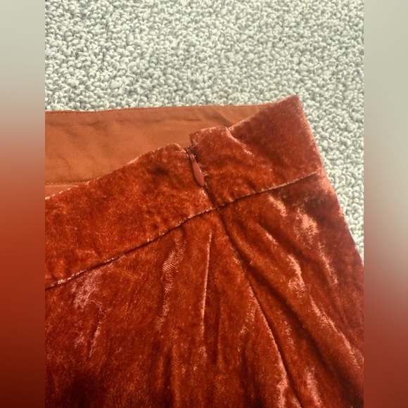Velvet Anthropologie Maxi Skirt - Picture 4 of 6